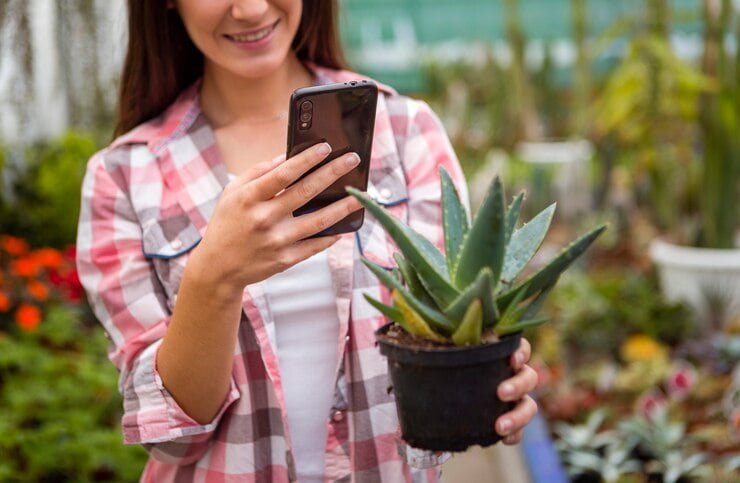 aplicaciones de identificación de plantas